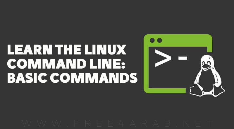 Learn The Linux Command Line: Basic Commands – ICTTUBE